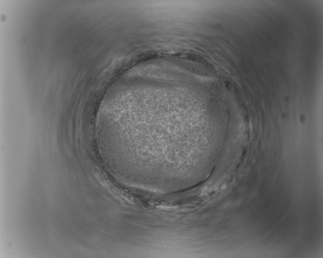 X0000053050961200508011844