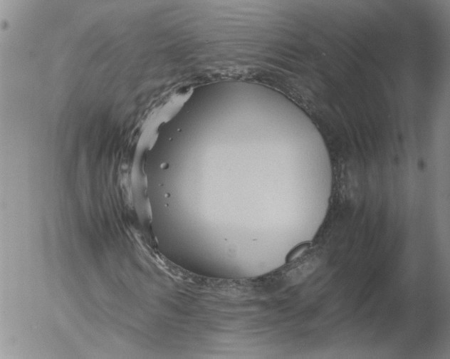 X0000053050962200508011844