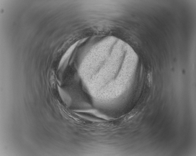 X0000053050963200508011844