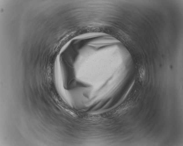 X0000053050964200508011844