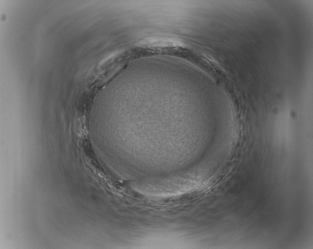 X0000053050965200508011843