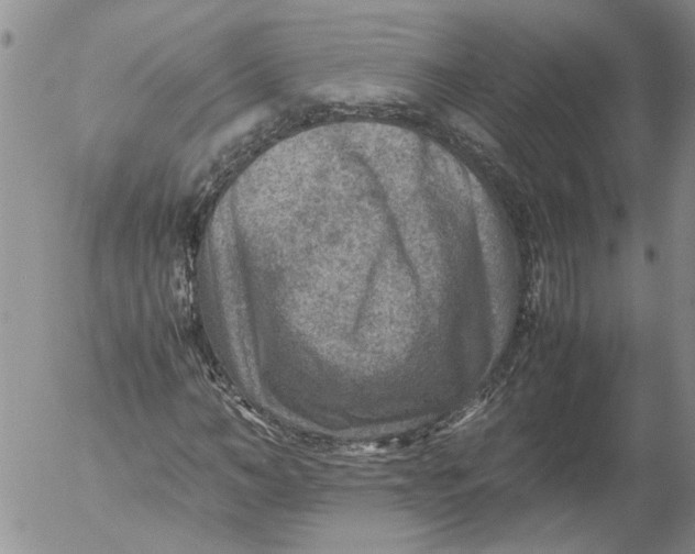 X0000053050966200508011843