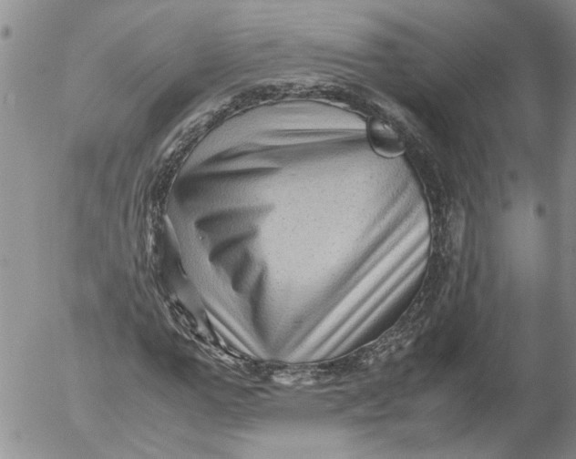 X0000053050967200508011843