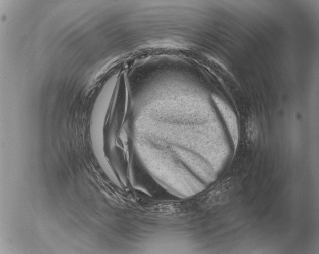 X0000053050968200508011843