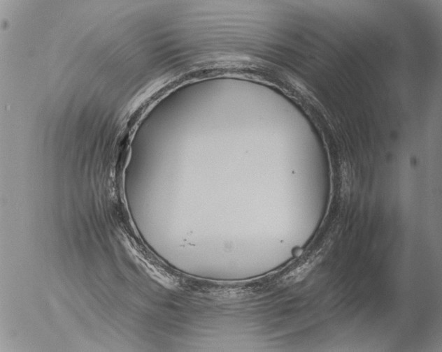 X0000053050970200508011843