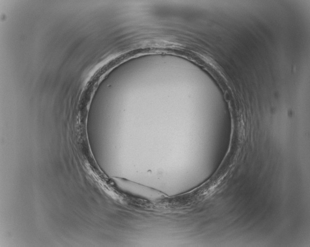 X0000053050971200508011843