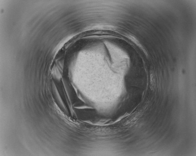 X0000053050972200508011843