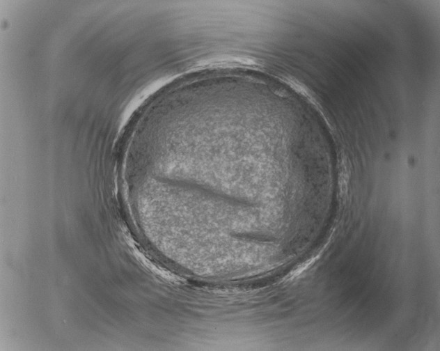 X0000053050973200508011843