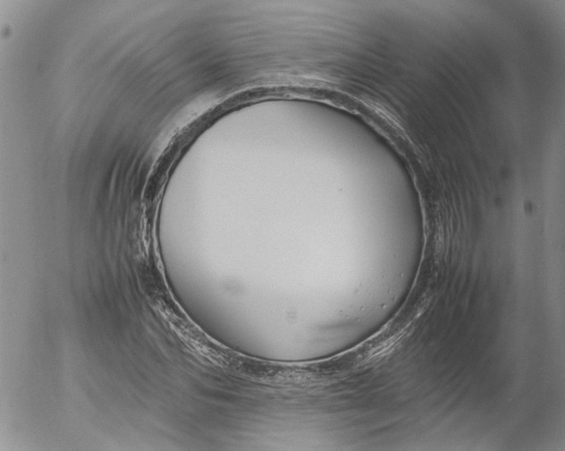 X0000053050974200508011843