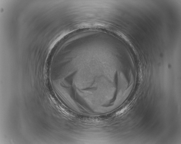 X0000053050975200508011843