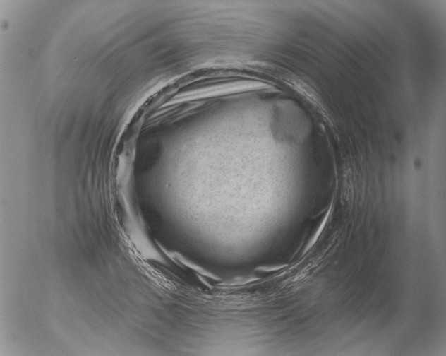 X0000053050976200508011843