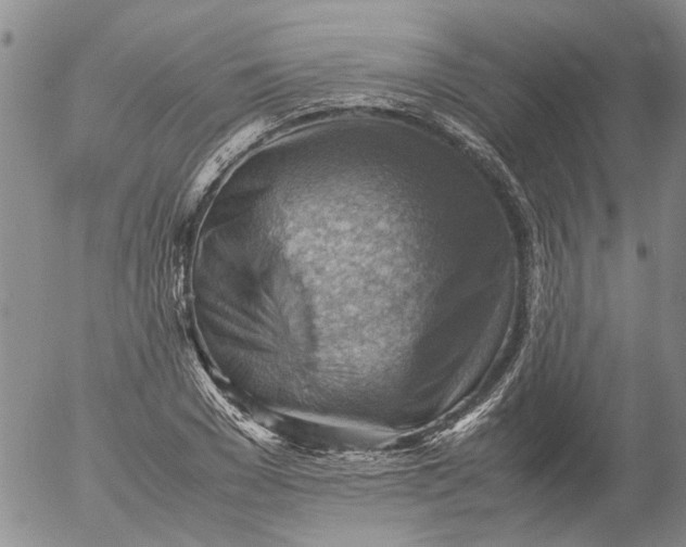 X0000053050977200508011843