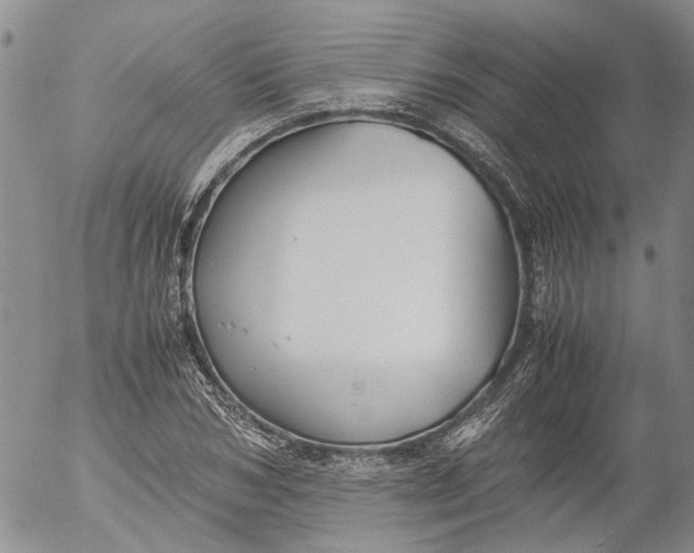 X0000053050978200508011843