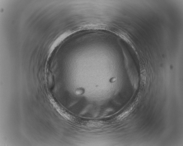 X0000053050981200508011843