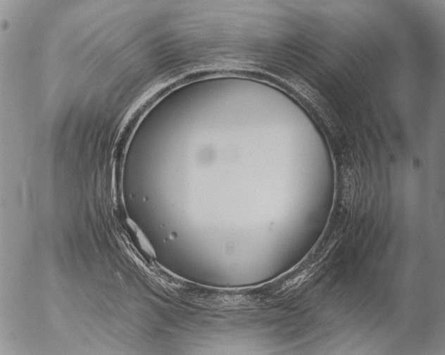 X0000053050982200508011843