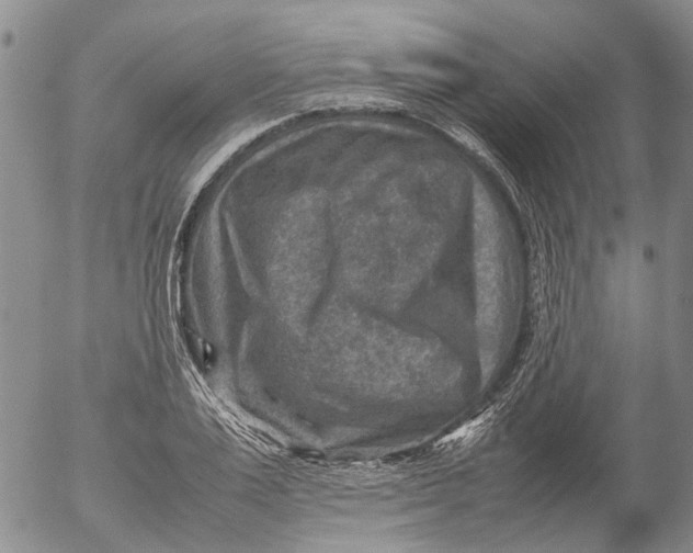 X0000053050983200508011843