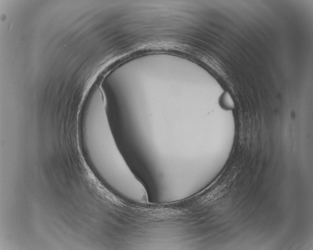 X0000053050984200508011843