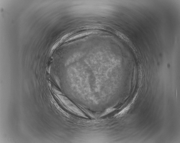 X0000053050985200508011843