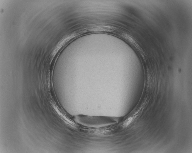 X0000053050986200508011843