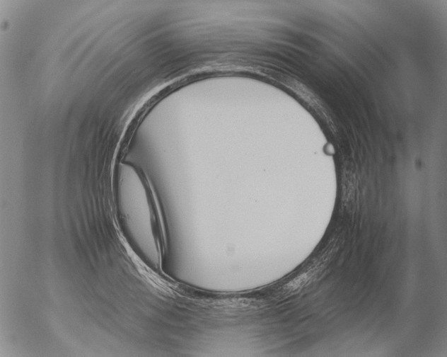 X0000053050988200508011843