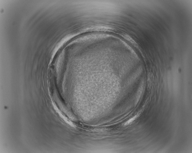 X0000053050989200508011843