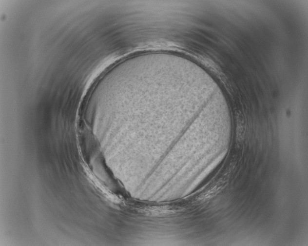 X0000053050990200508011843