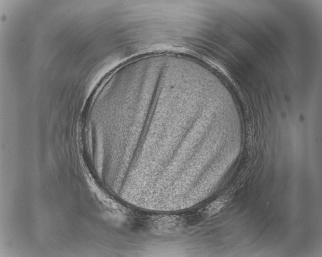 X0000053050991200508011843