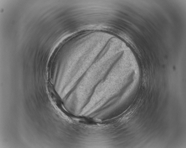 X0000053050992200508011843