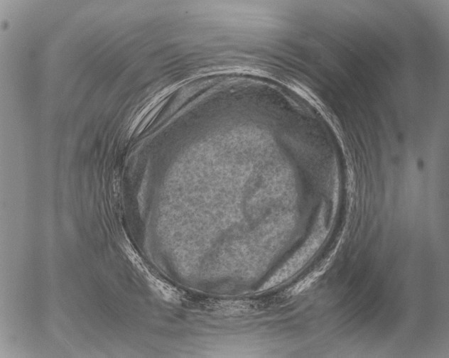 X0000053050993200508011843