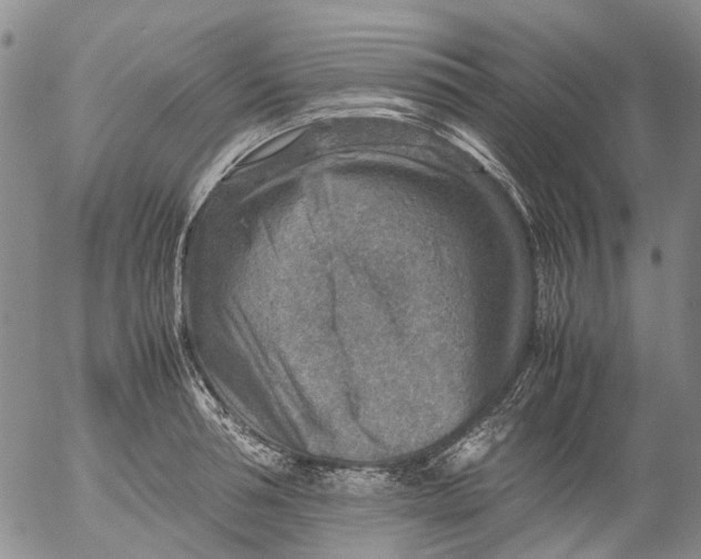 X0000053050994200508011843