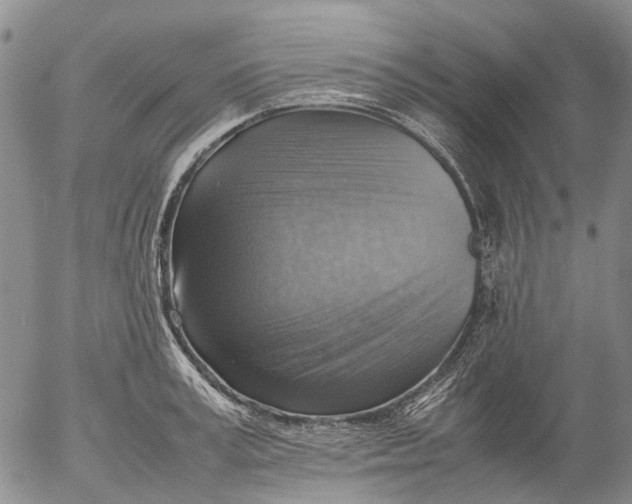 X0000053050995200508011843