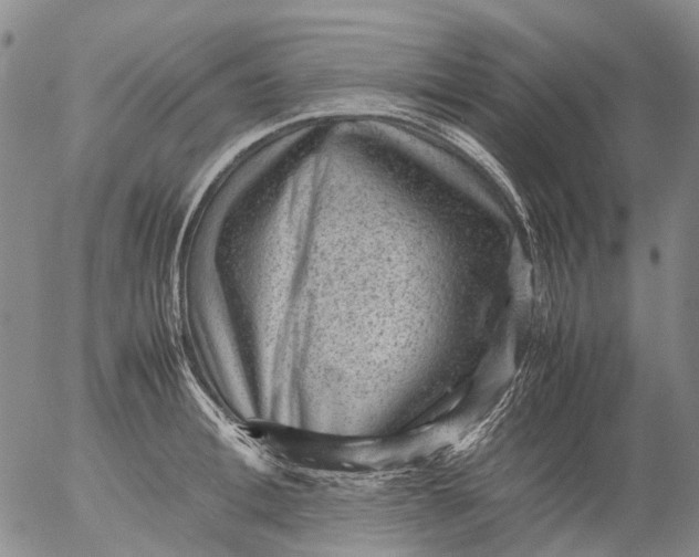 X0000053050996200508011843