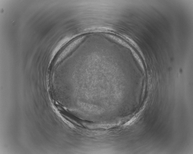 X0000053050997200508011843