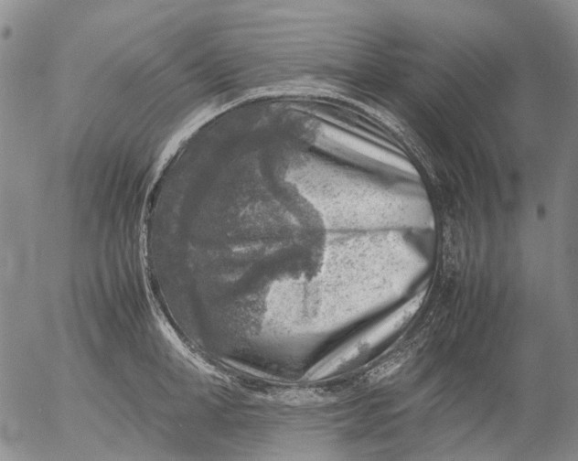 X0000053050998200508011843