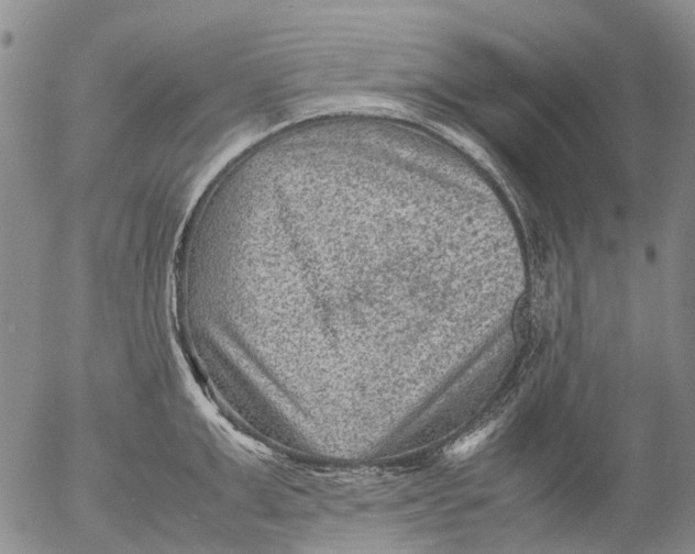 X0000053050999200508011843