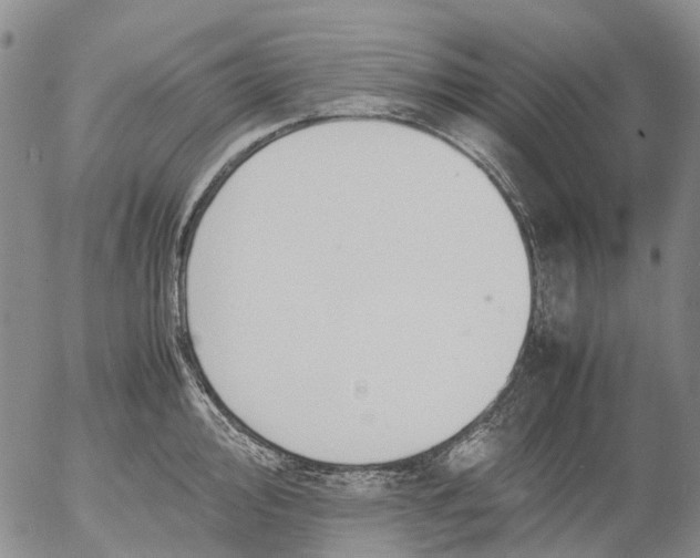 X0000053051000200508011843