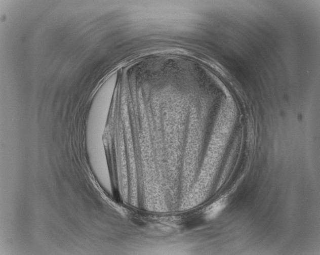 X0000053051001200508011843