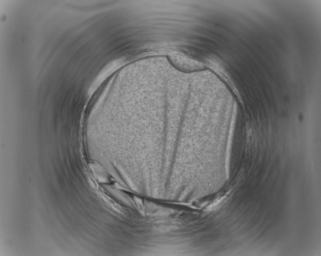 X0000053051002200508011843