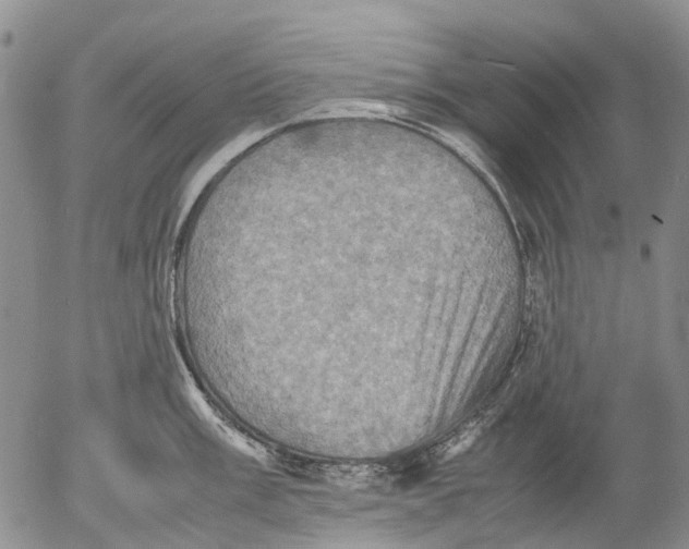 X0000053051003200508011843