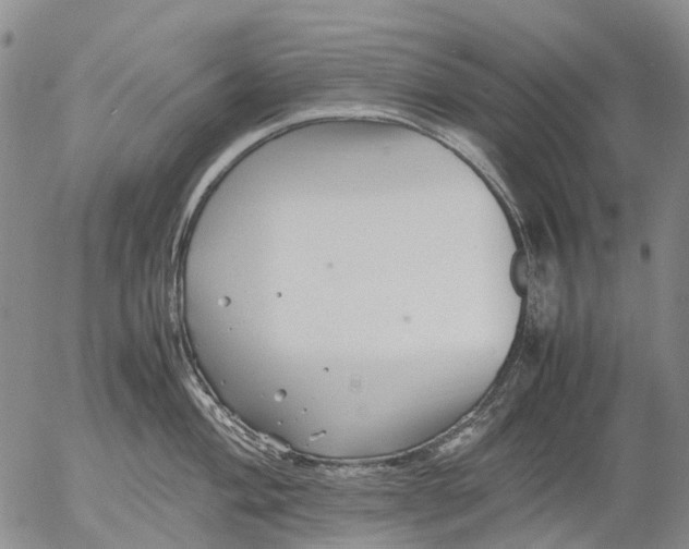 X0000053051004200508011843