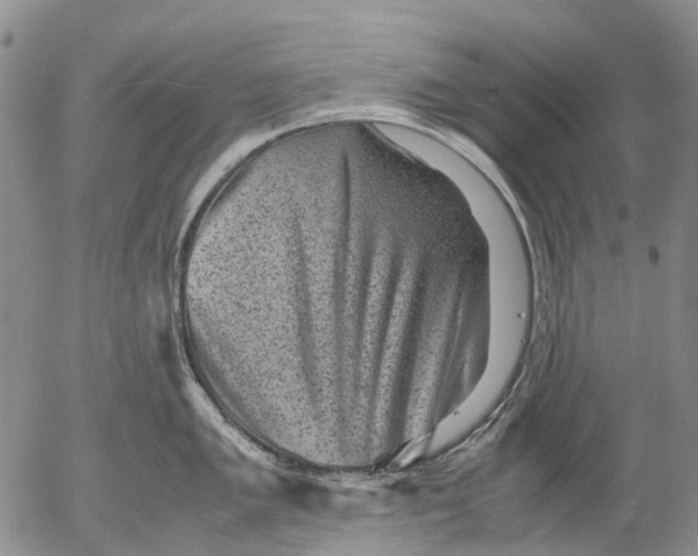 X0000053051005200508011843