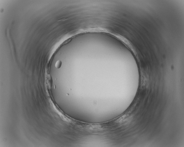 X0000053051006200508011843