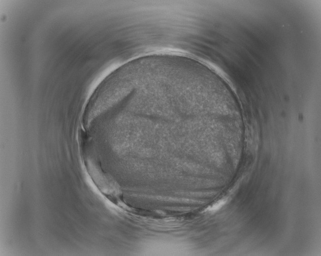 X0000053051007200508011843