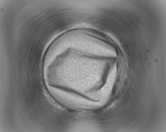 X0000053051008200508011843