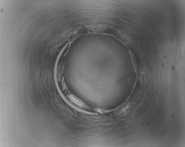 X0000053051010200508011842