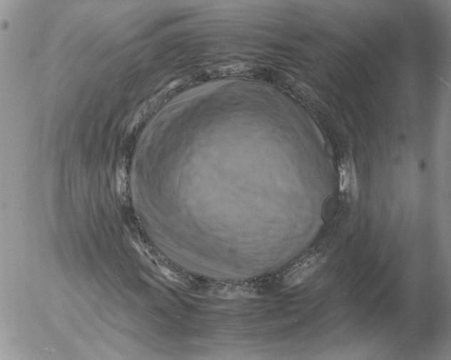 X0000053051011200508011842