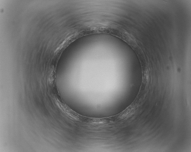 X0000053051012200508011842