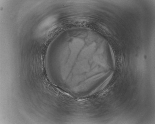 X0000053051013200508011842