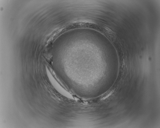 X0000053051014200508011842