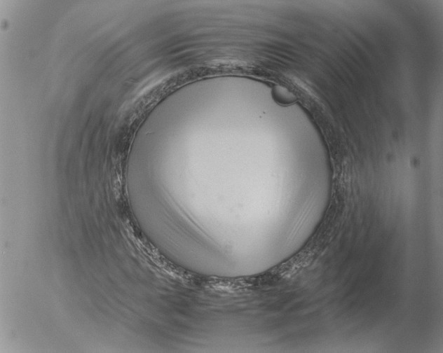 X0000053051015200508011842